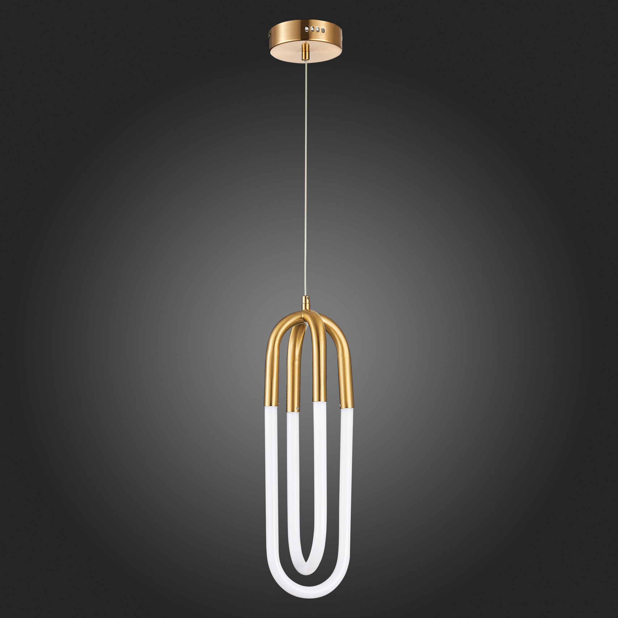 Картинка Подвесной светодиодный светильник ST Luce Mofisto SL1579.303.02