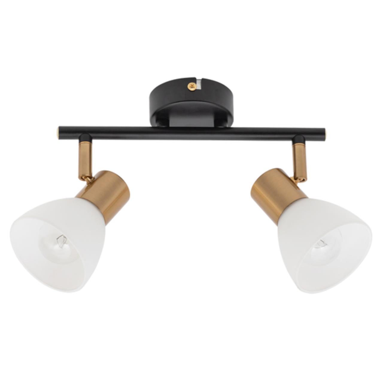 Картинка Настенно-потолочный светильник Arte Lamp Falena A3117PL-2BK