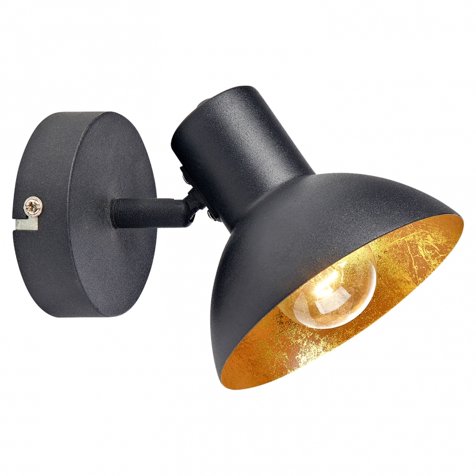 Картинка Спот Lussole Loft LSP-9973