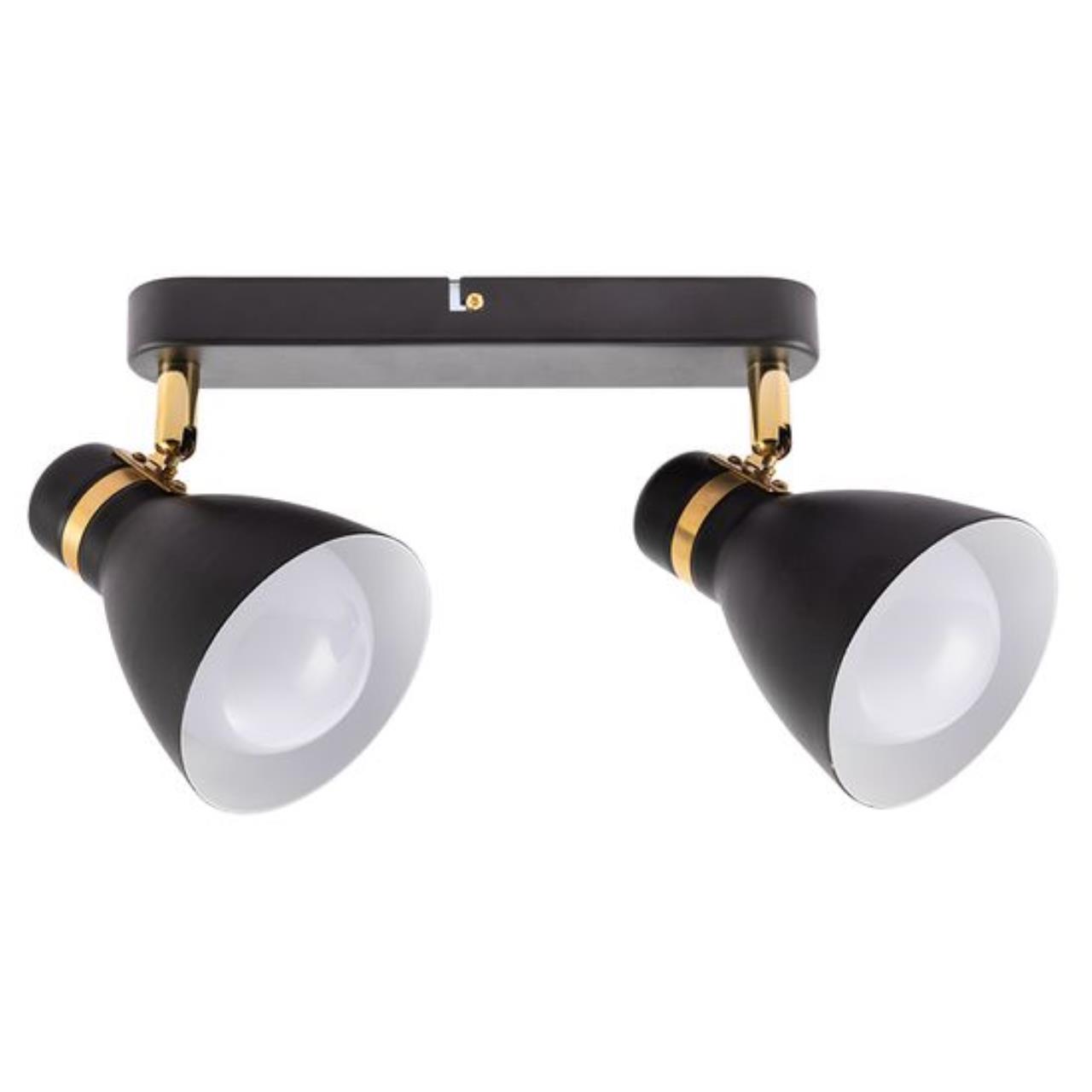 Потолочный светильник Arte Lamp FAFNIR A5047PL-2BK