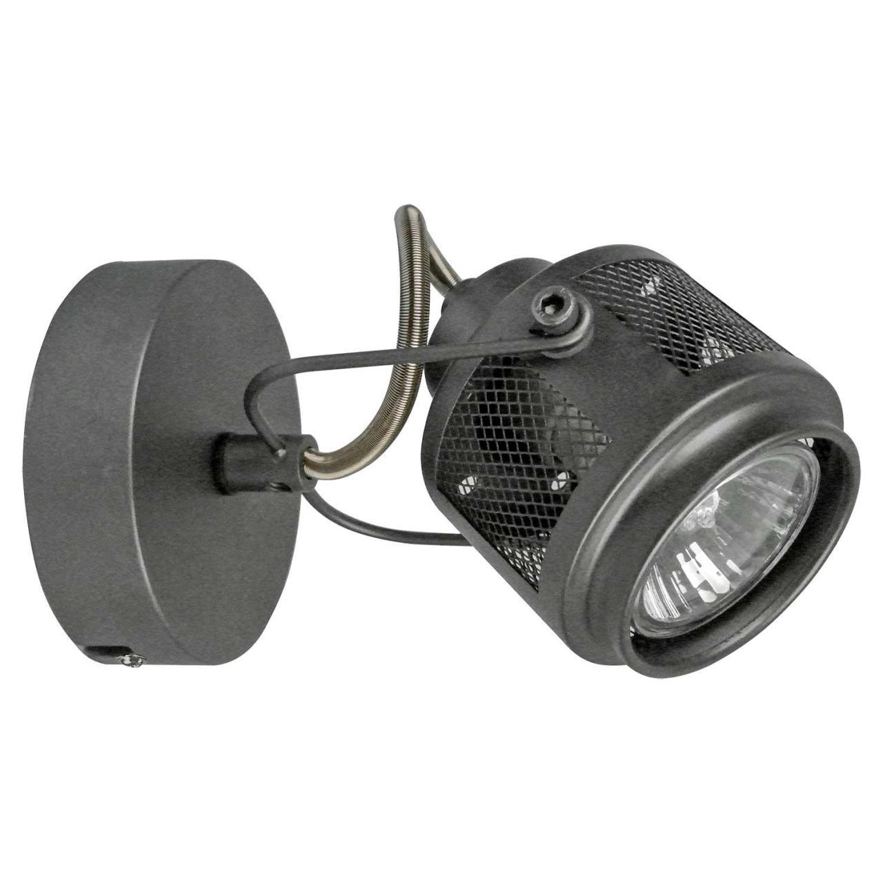 Картинка Спот Lussole Loft Haines LSP-8045