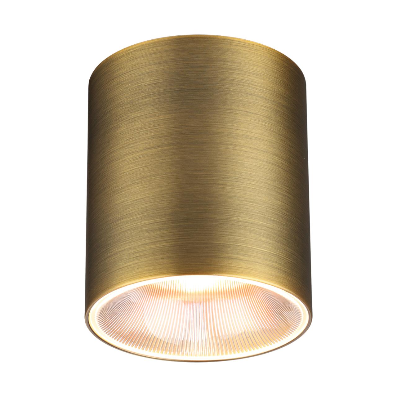 7137/12CL Odeon Light  Потолочный светильник BRIM купить в Алматы svet.kz