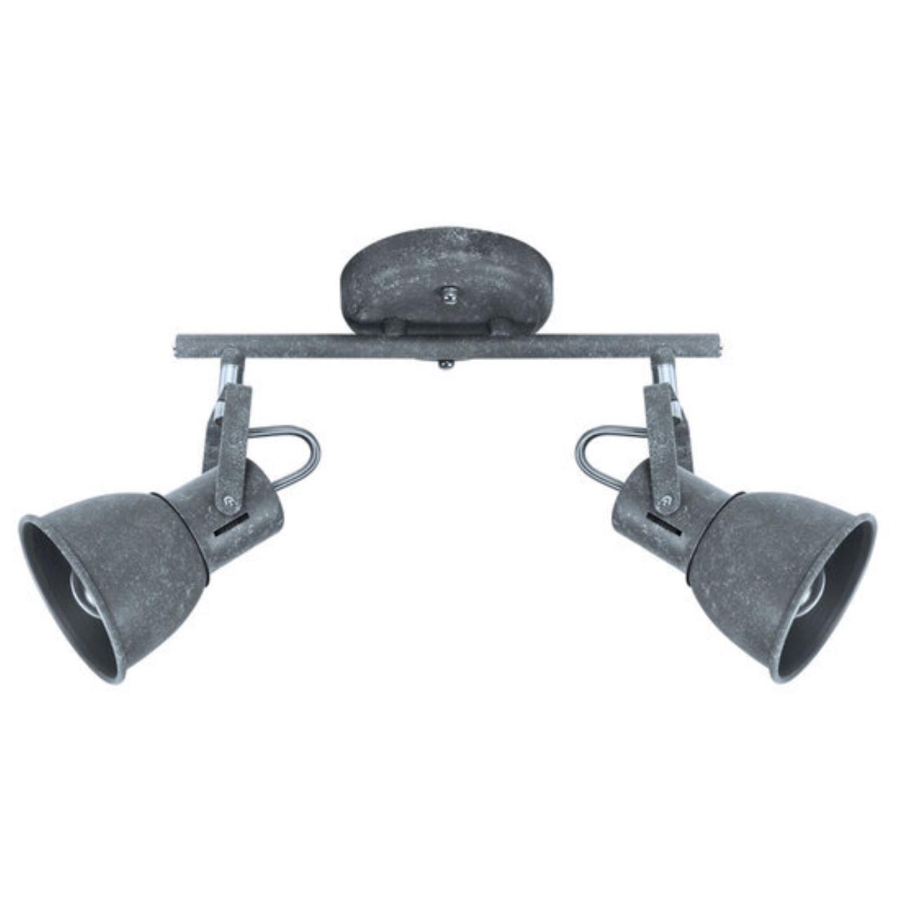 Картинка Спот Arte Lamp A1677PL-2GY
