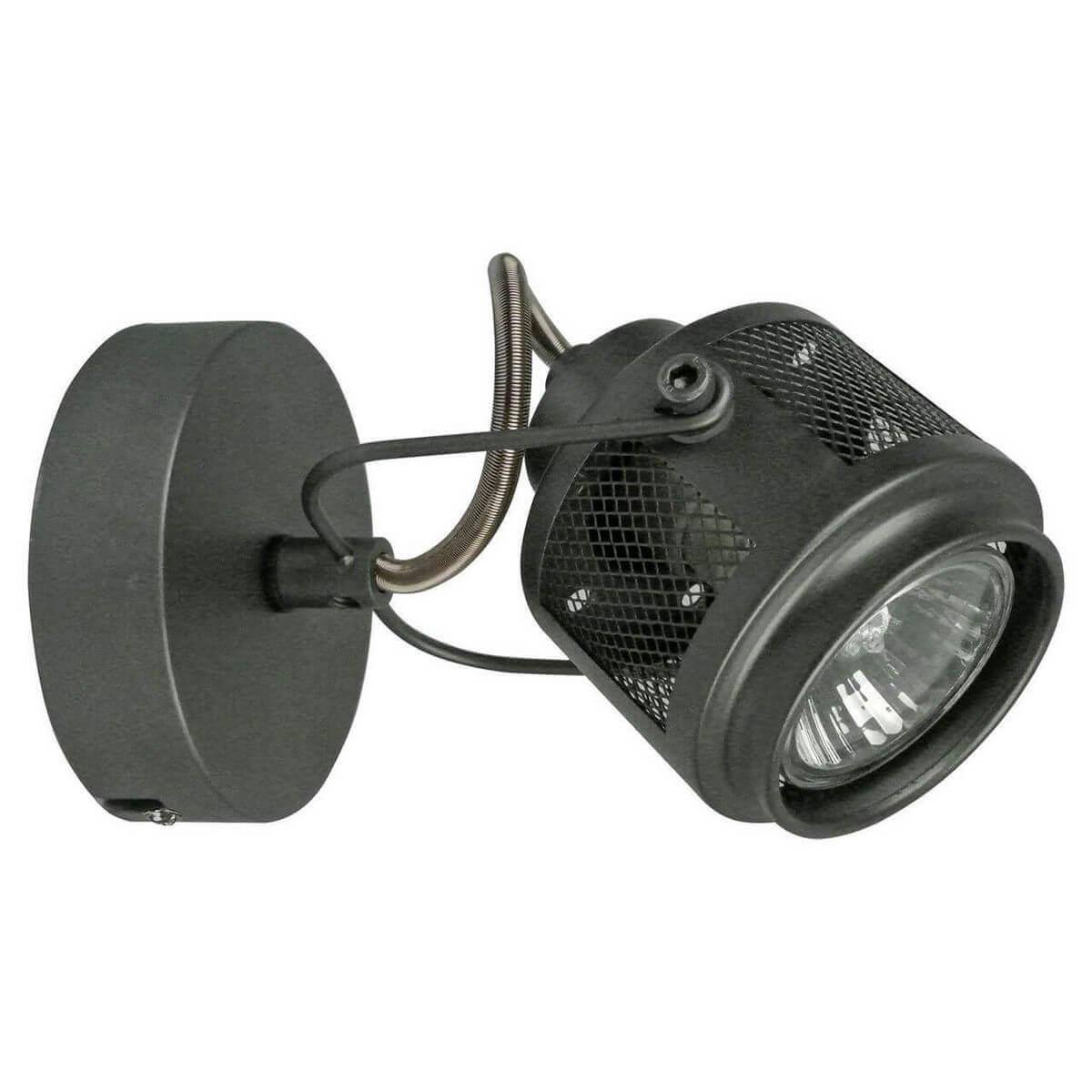Картинка Спот Lussole Loft Haines LSP-8045