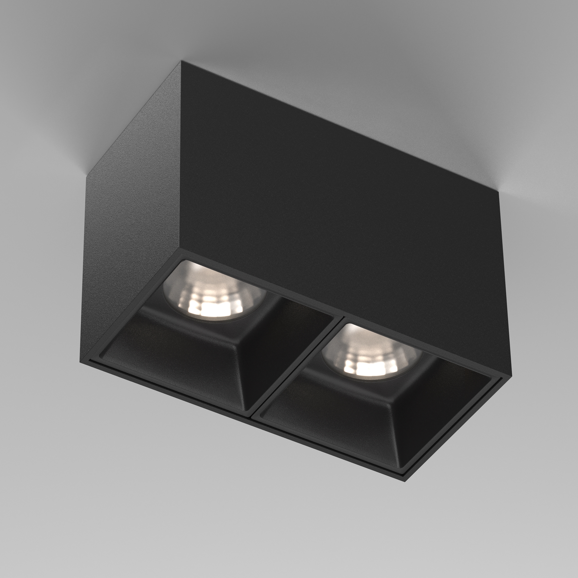 Картинка Потолочный светильник Technical C065CL-02-L12W4K-B
