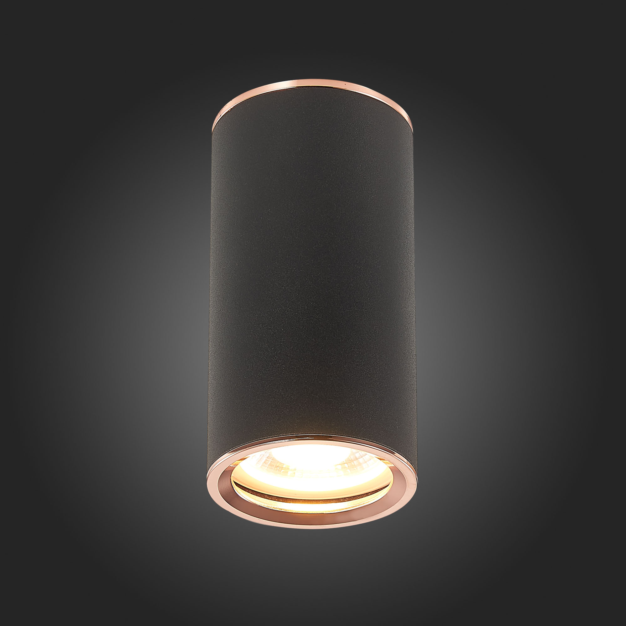 Картинка Потолочный светильник ST Luce Chomus ST111.427.01