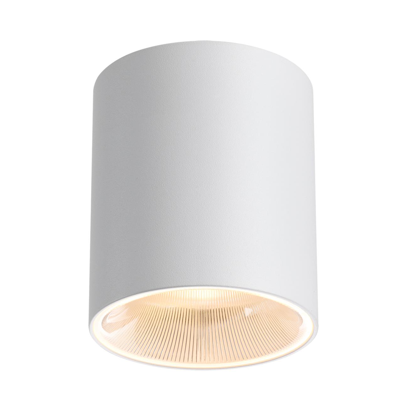 7139/12CL Odeon Light  Потолочный светильник BRIM купить в Алматы svet.kz