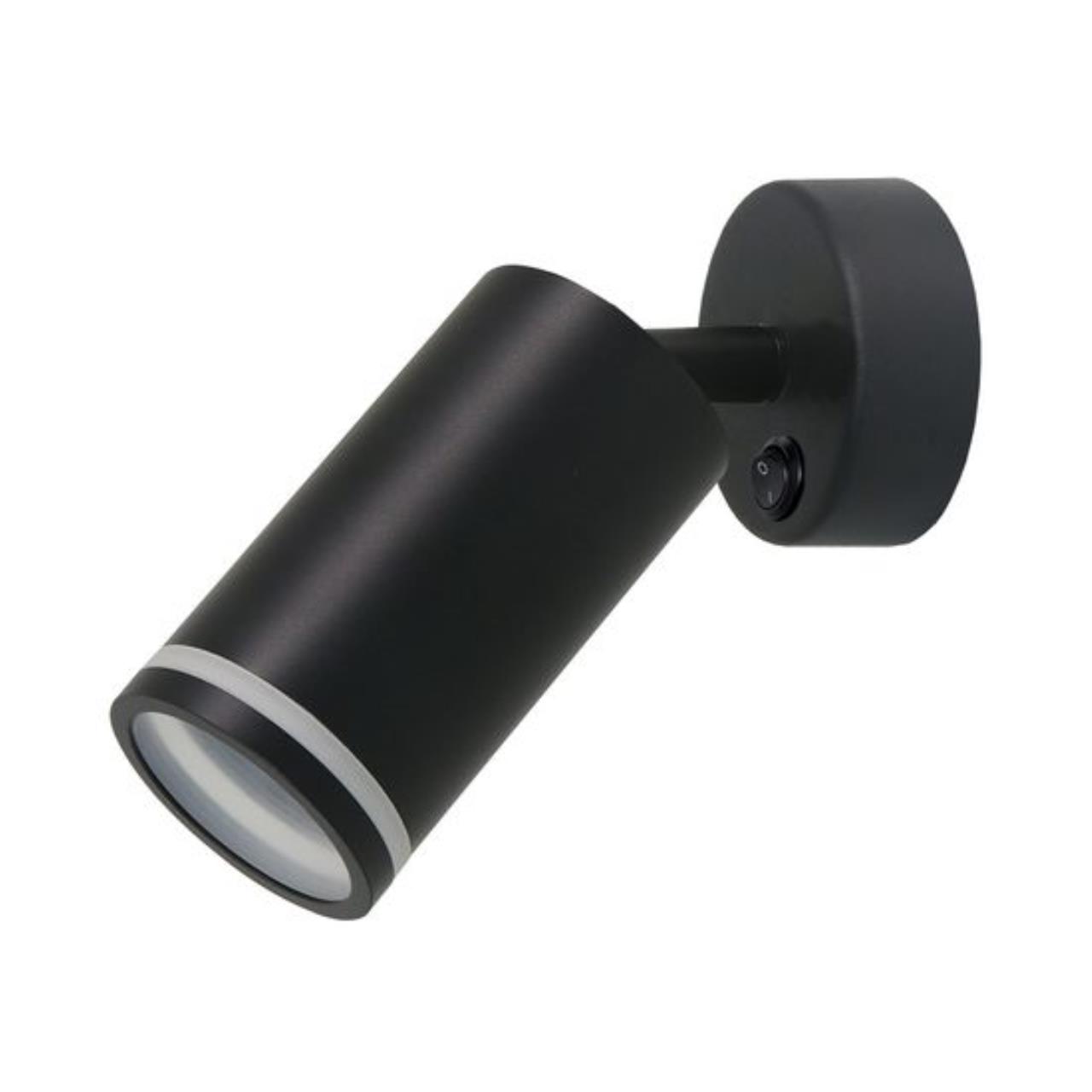 Настенно-потолочный светильник Arte Lamp IMAI A2365AP-1BK