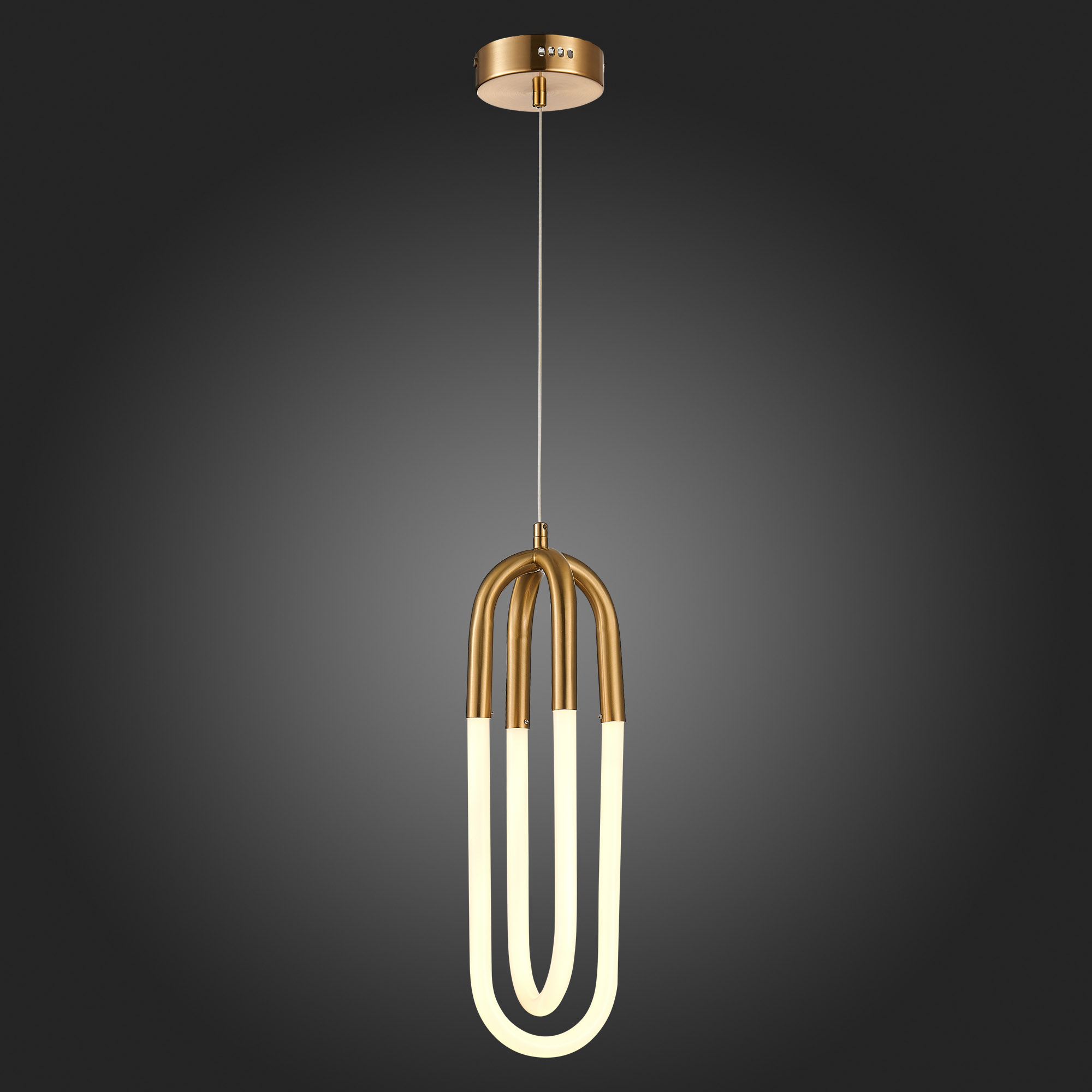 Картинка Подвесной светодиодный светильник ST Luce Mofisto SL1579.303.02