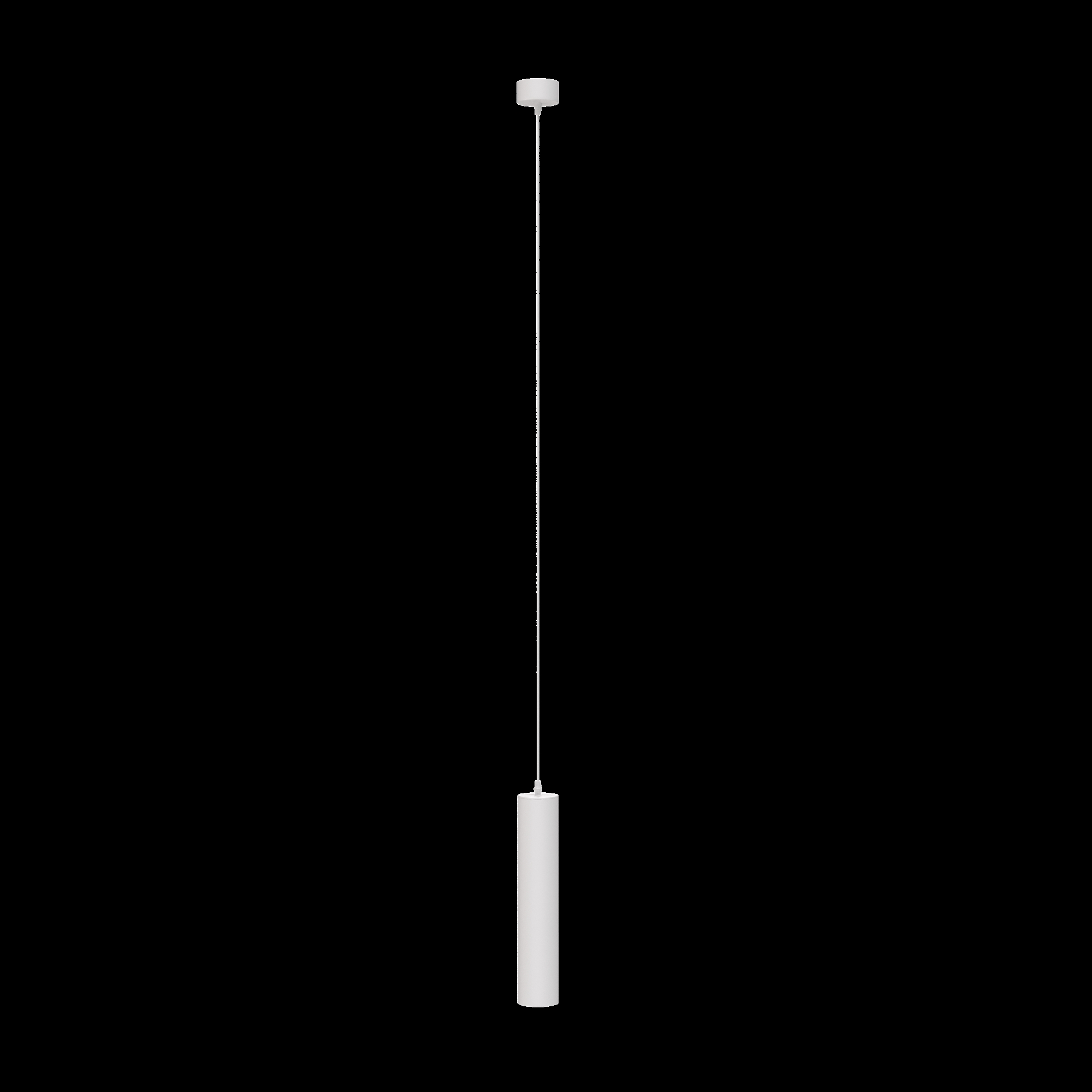 Картинка Подвесной светильник Technical P075PL-01W