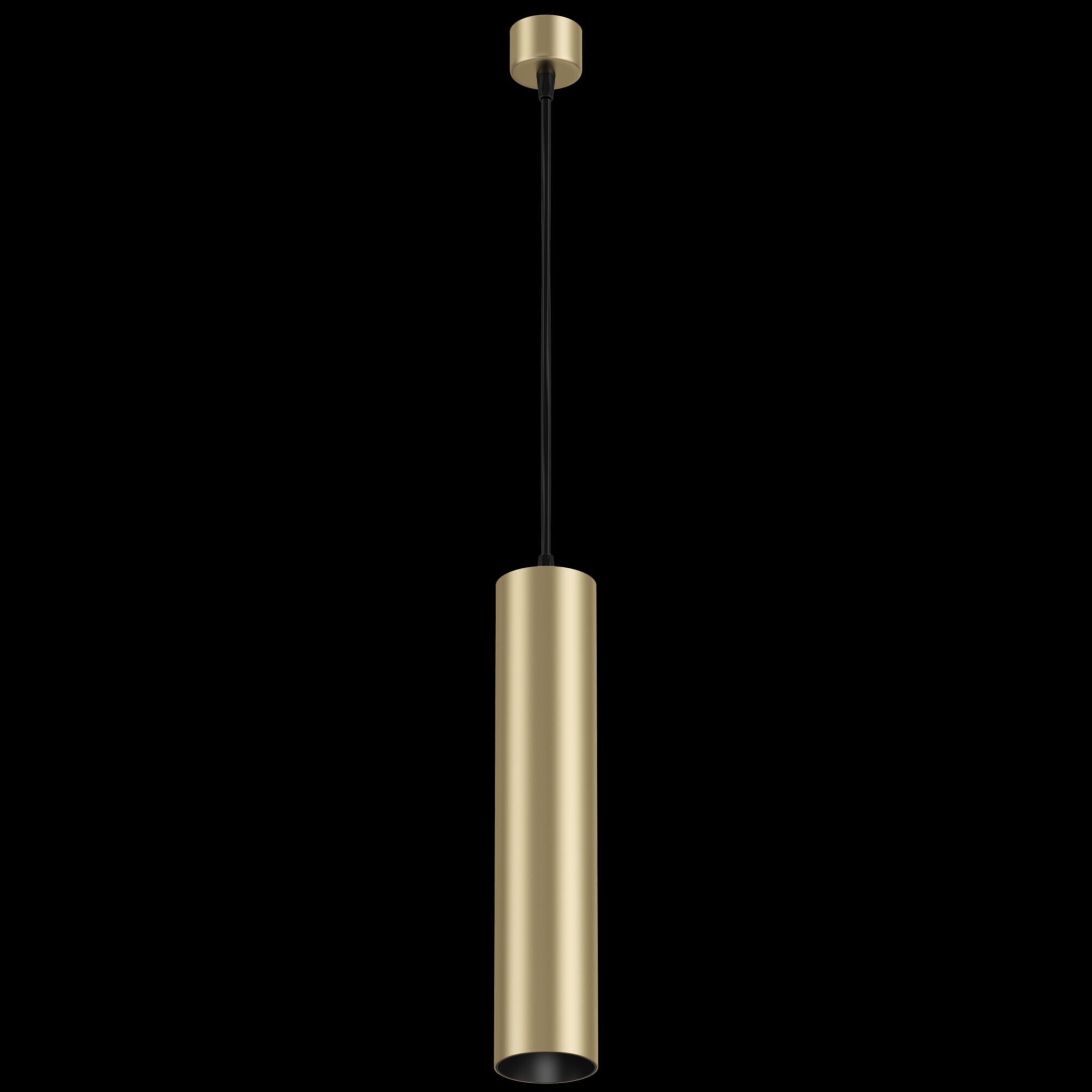 Картинка Подвесной светильник Technical P075PL-01MG