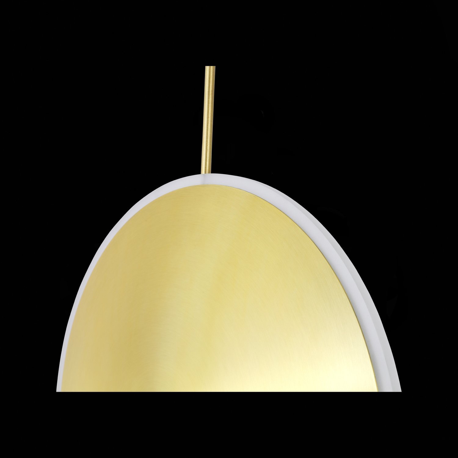 Картинка Подвесной светодиодный светильник ST Luce Imente SL1221.213.01