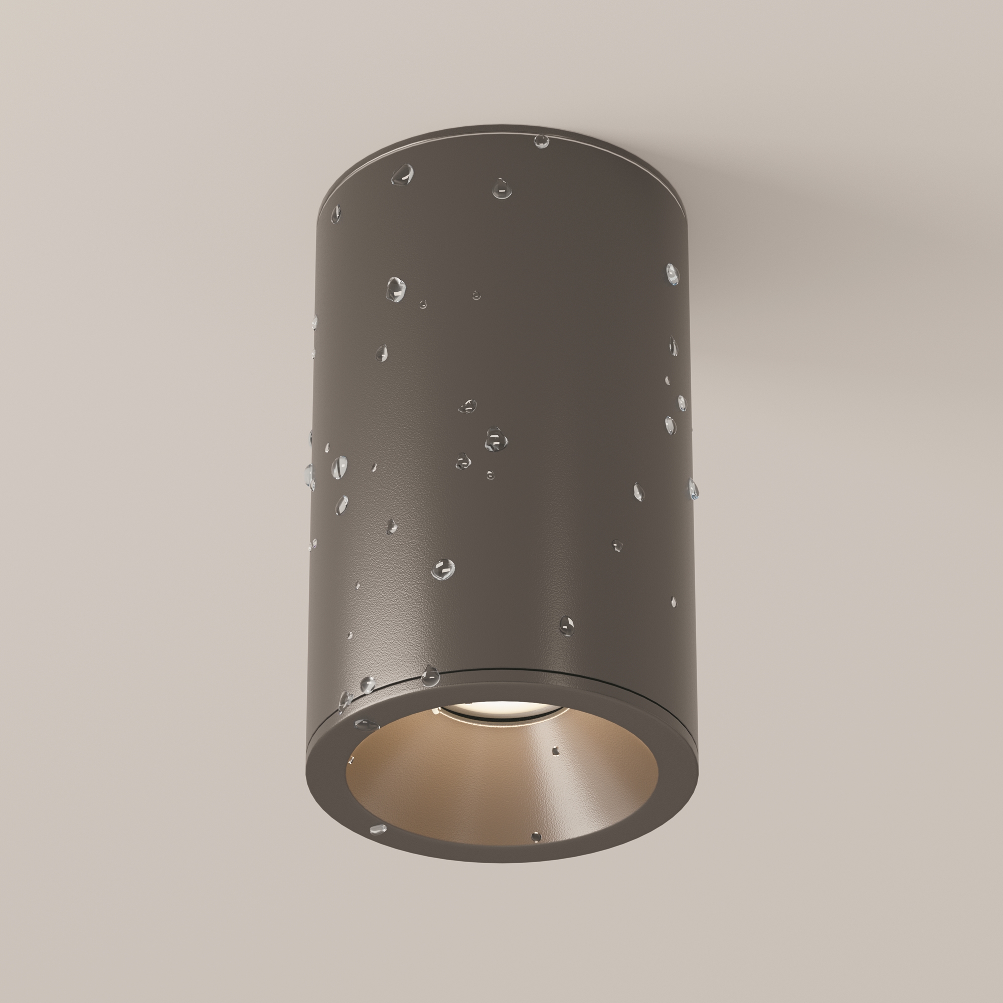 Картинка Потолочный светильник Technical C029CL-01-S-B