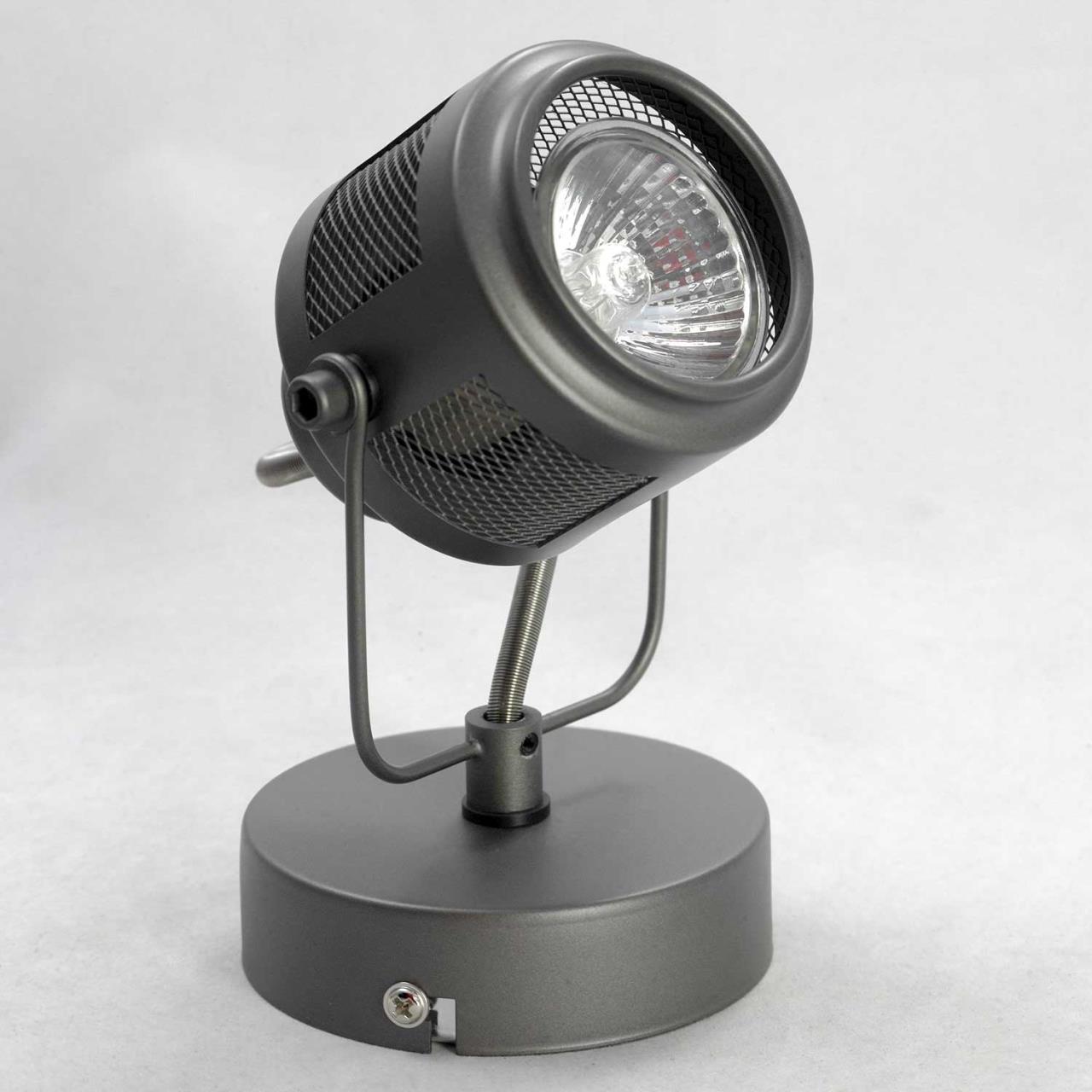Картинка Спот Lussole Loft Haines LSP-8045