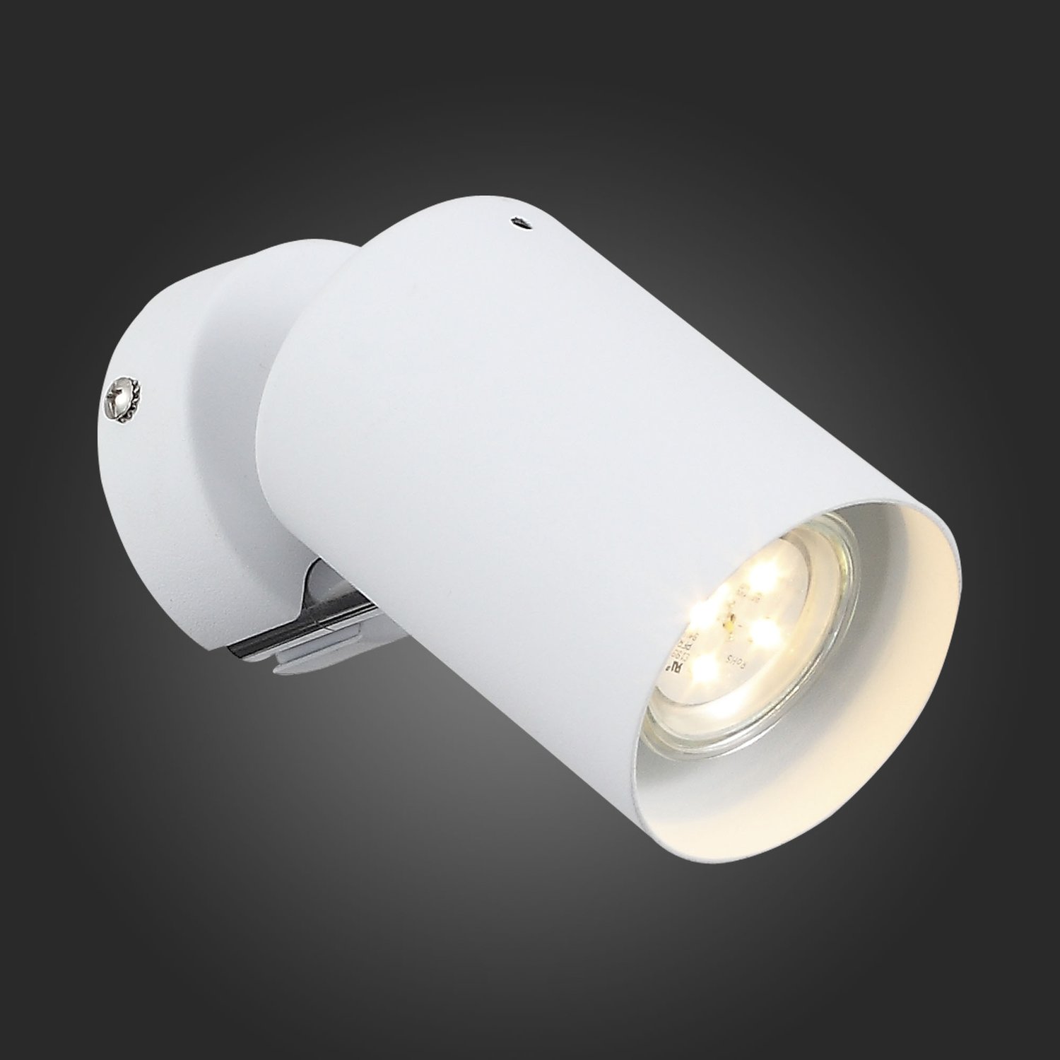 Картинка Светодиодный спот ST Luce Fanale SL597.501.01