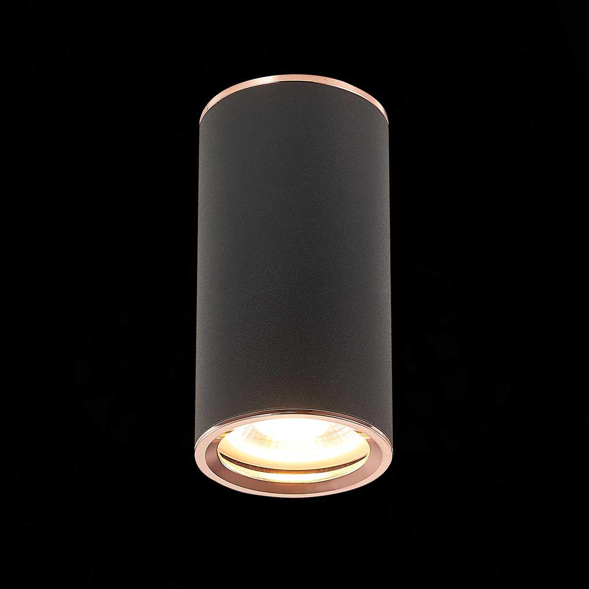 Картинка Потолочный светильник ST Luce Chomus ST111.427.01