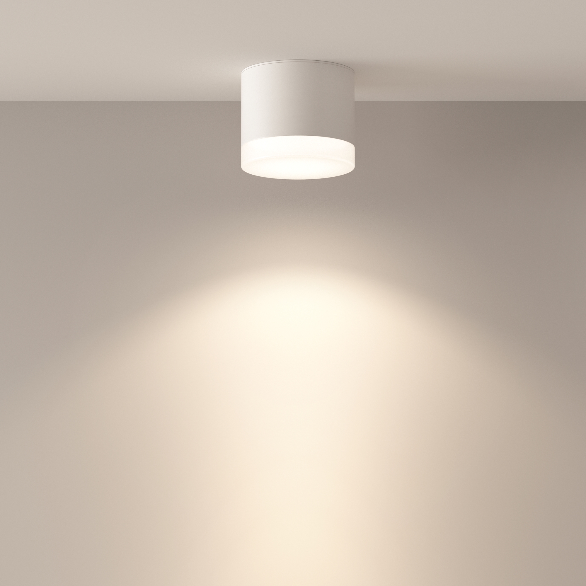 Картинка Потолочный светильник Technical C087CL-GX53-W