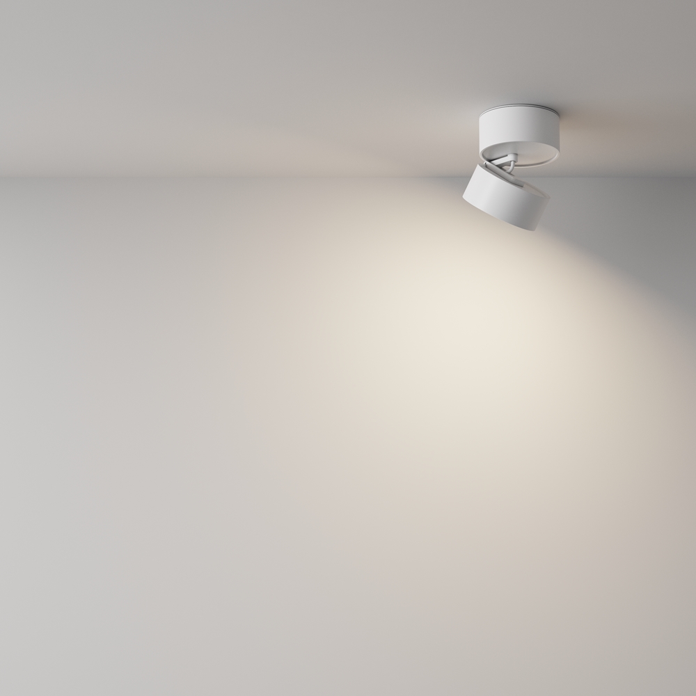 Картинка Потолочный светильник Technical C024CL-12W4K-W-1