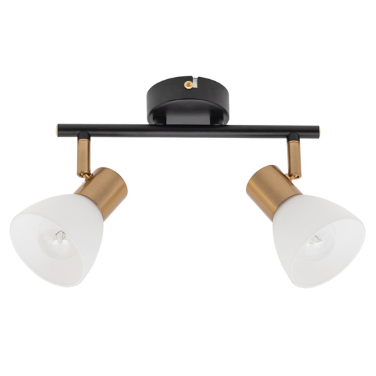 Картинка Настенно-потолочный светильник Arte Lamp Falena A3117PL-2BK