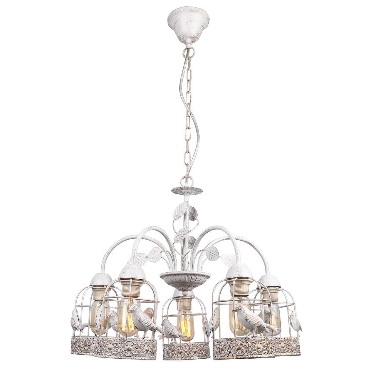 Картинка Подвесная люстра Arte Lamp Cincia A5090LM-5WG