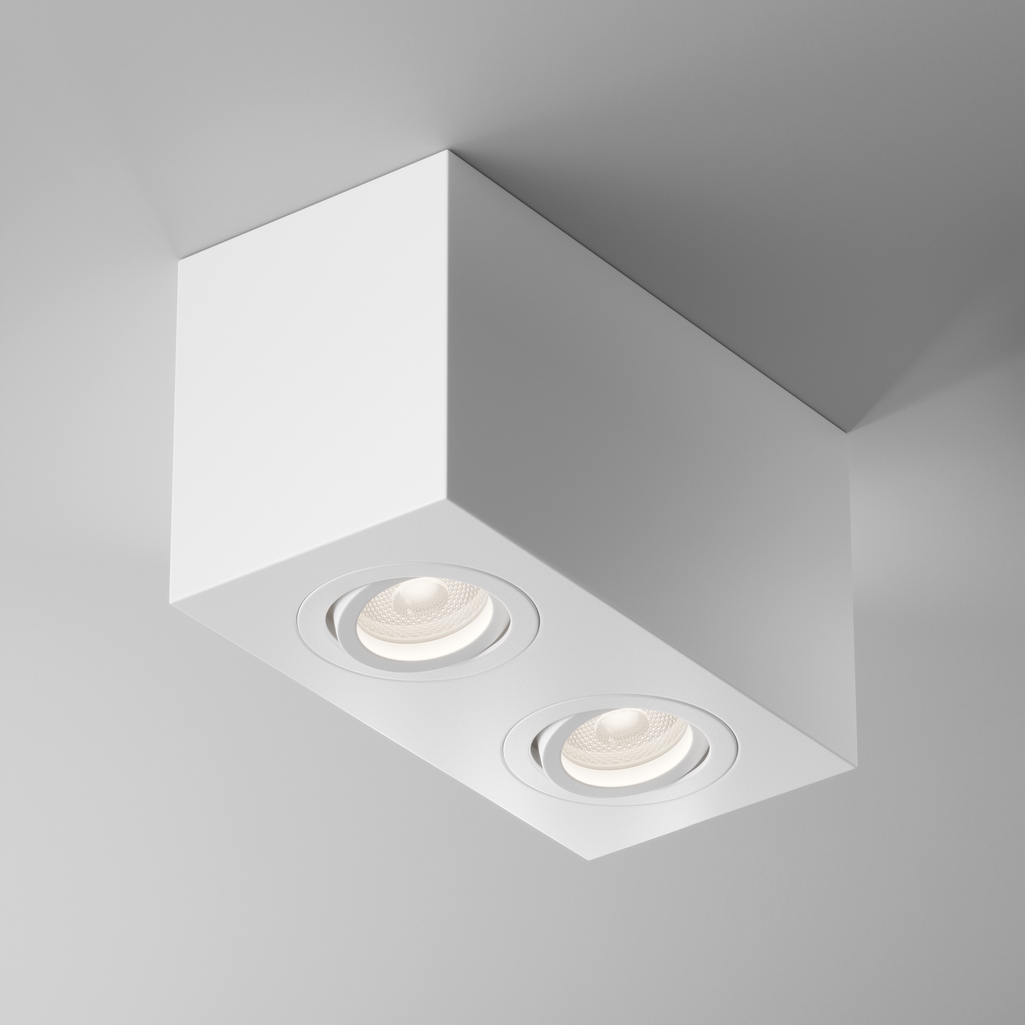 Картинка Потолочный светильник Technical C017CL-02W