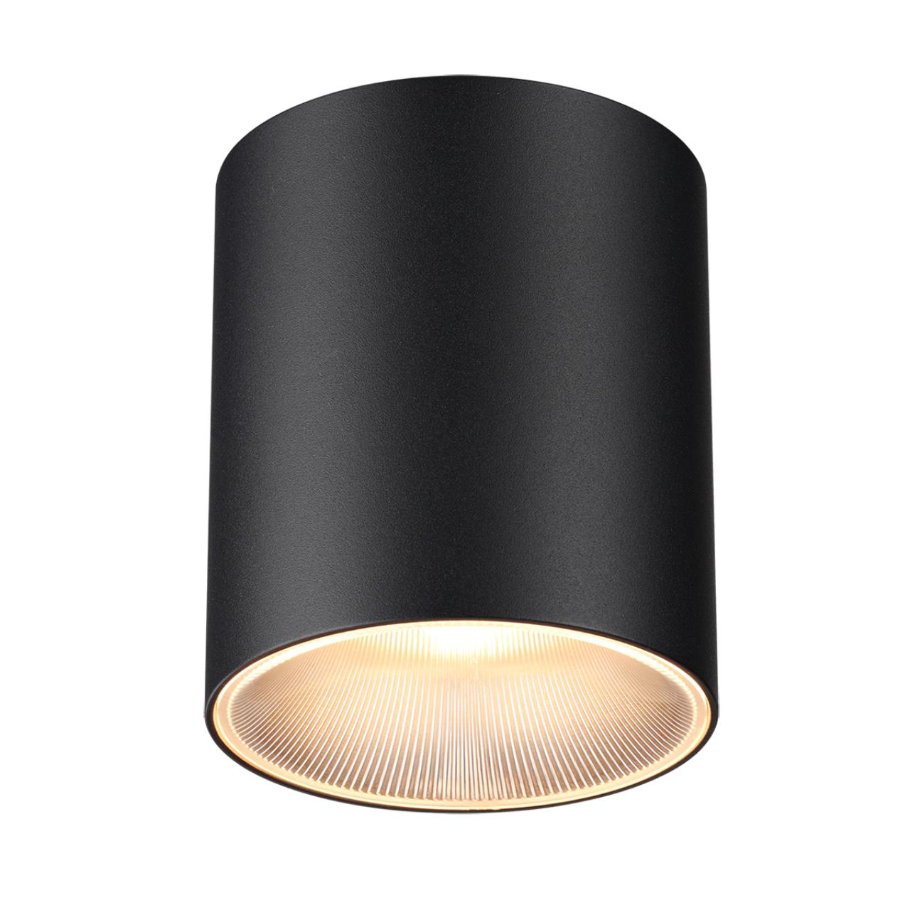 7138/12CL Odeon Light  Потолочный светильник BRIM купить в Алматы svet.kz