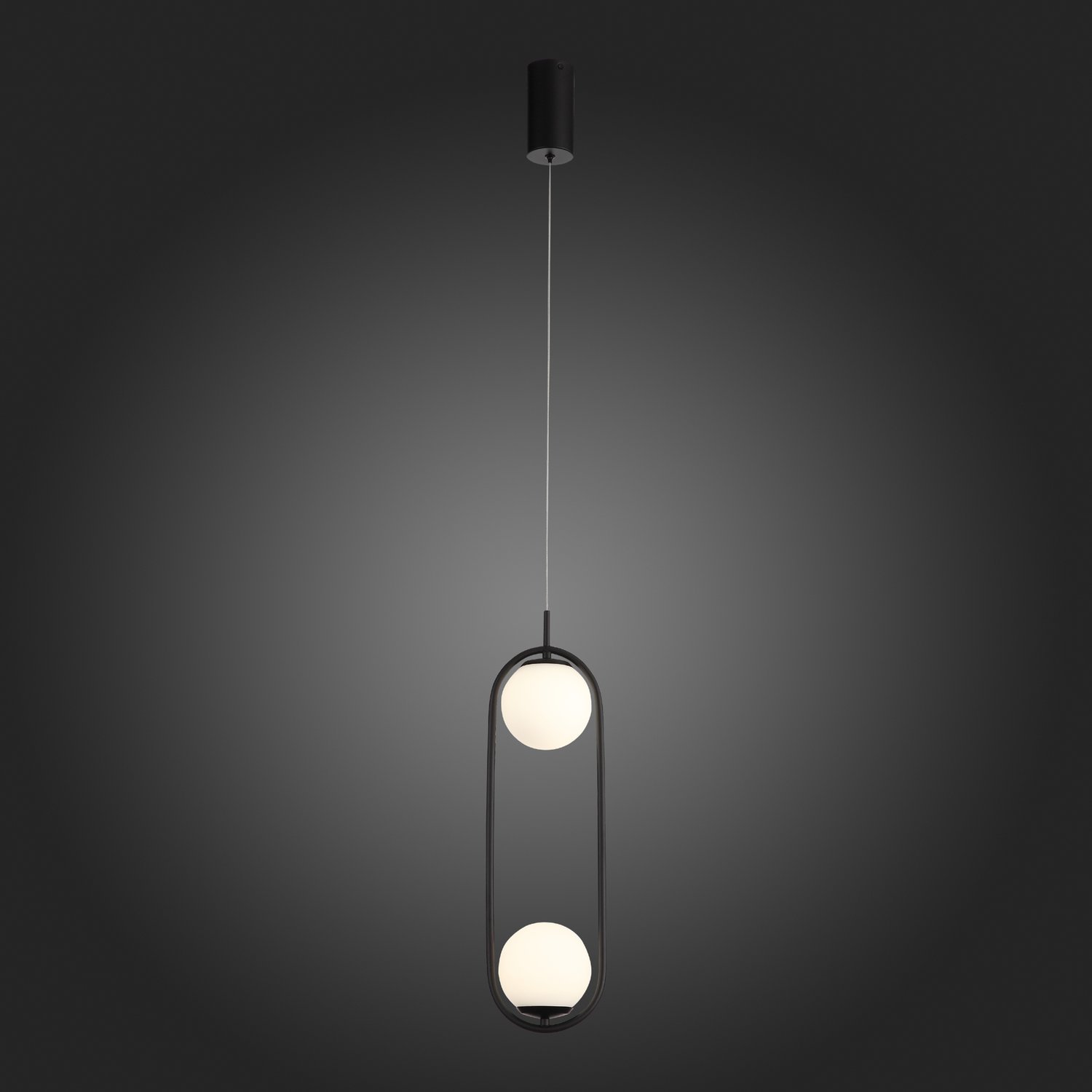 Картинка Подвесной светодиодный светильник ST Luce SL395.403.02