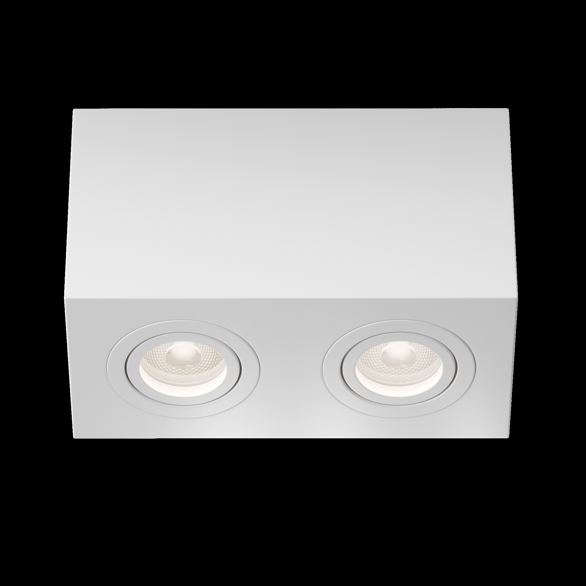Картинка Потолочный светильник Technical C017CL-02W