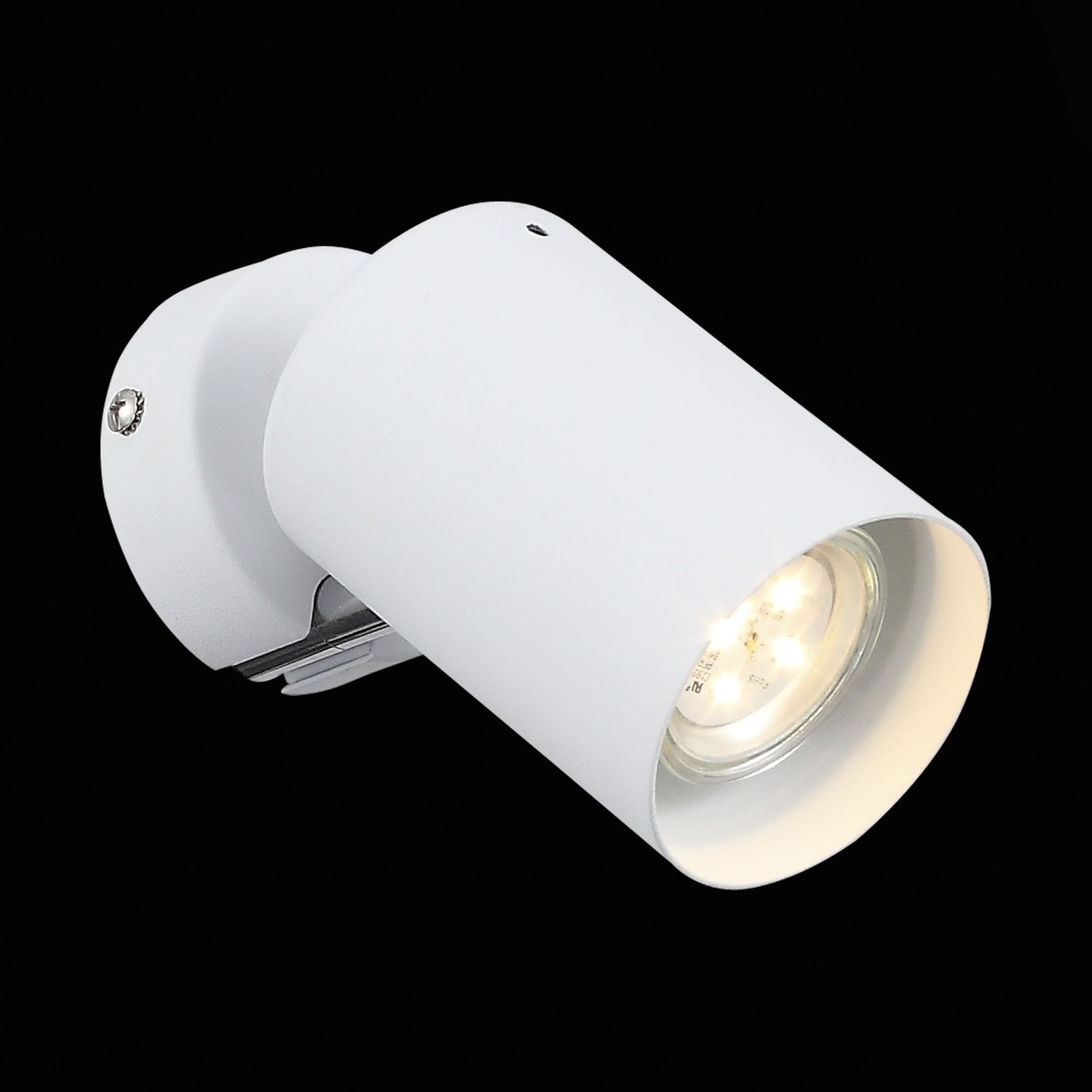 Картинка Светодиодный спот ST Luce Fanale SL597.501.01