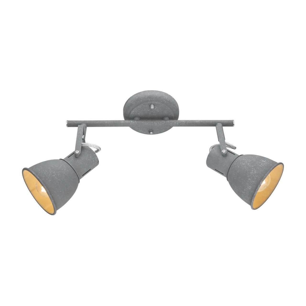 Картинка Спот Arte Lamp A1677PL-2GY