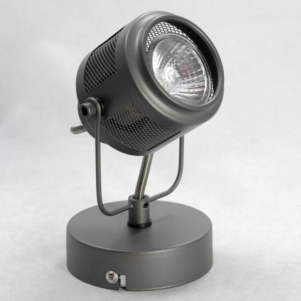 Картинка Спот Lussole Loft Haines LSP-8045