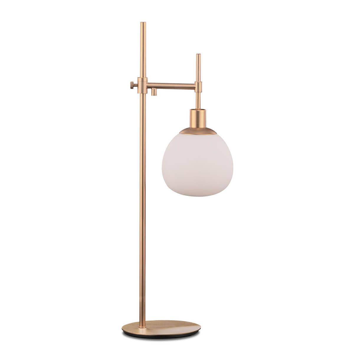 Картинка Настольная лампа Maytoni Erich MOD221-TL-01-G