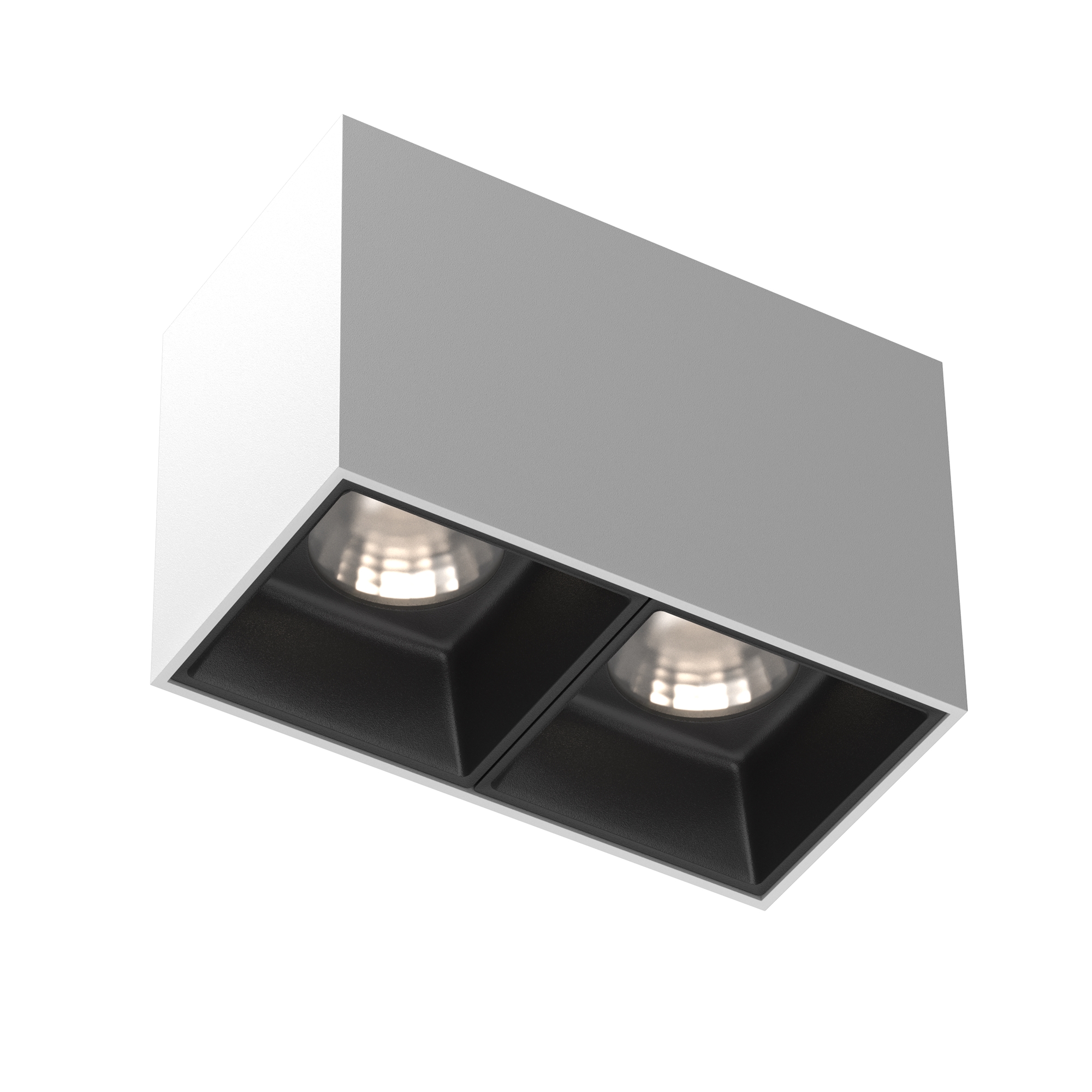 Картинка Потолочный светильник Technical C065CL-02-L12W4K-W