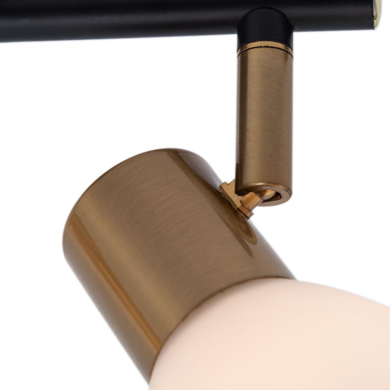 Картинка Настенно-потолочный светильник Arte Lamp Falena A3117PL-2BK