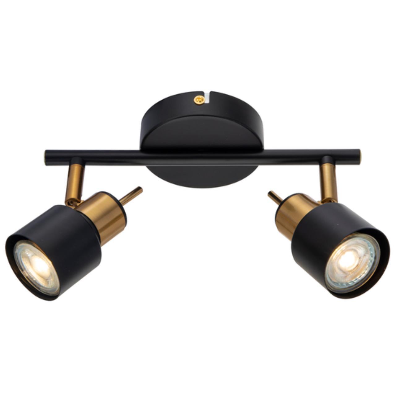 Картинка Спот Arte Lamp Almach A1906PL-2BK