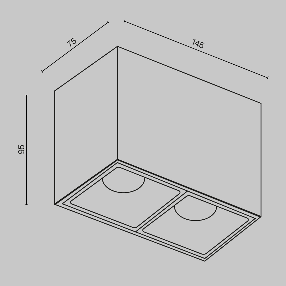 Картинка Потолочный светильник Technical C065CL-02-L12W4K-W
