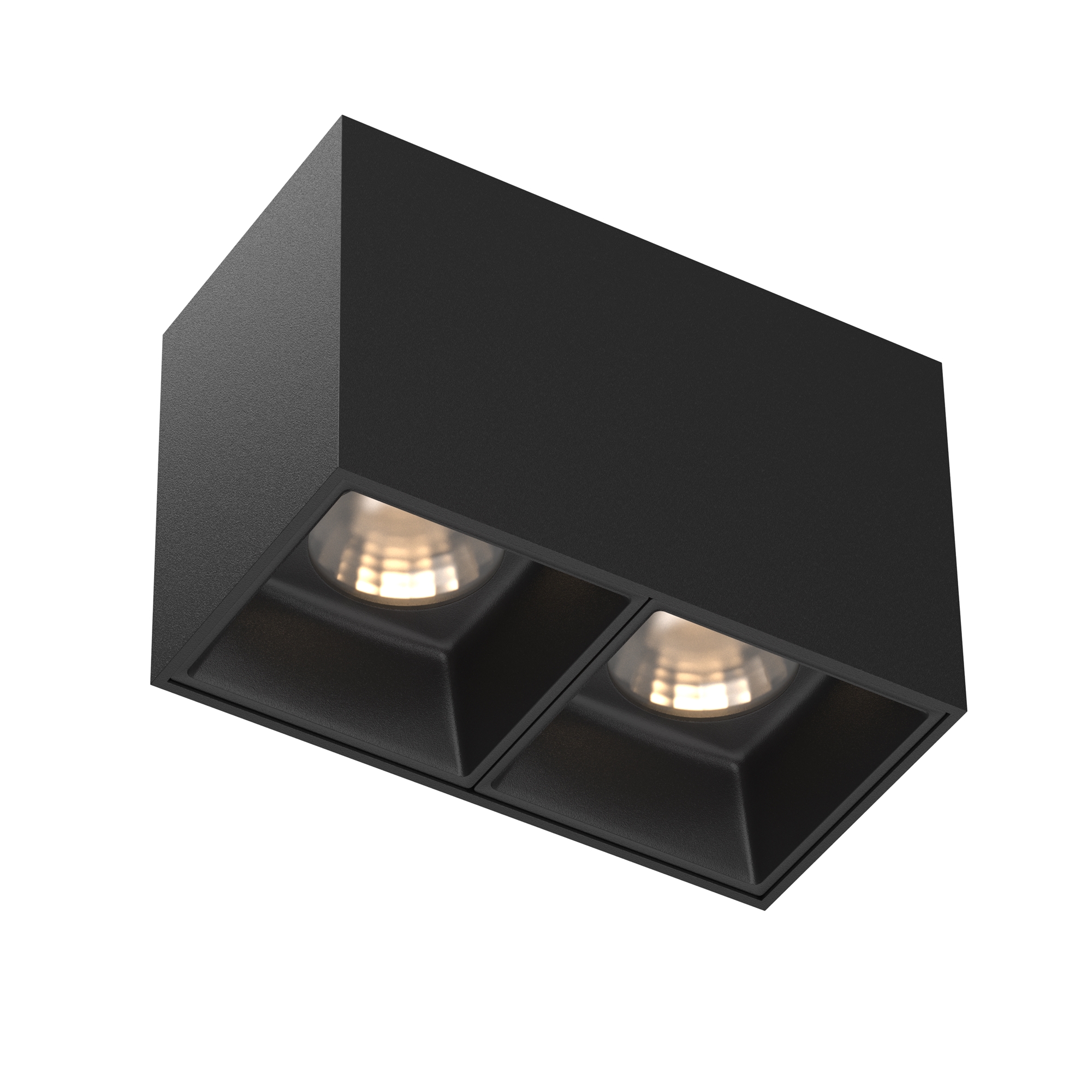 Картинка Потолочный светильник Technical C065CL-02-L12W3K-B