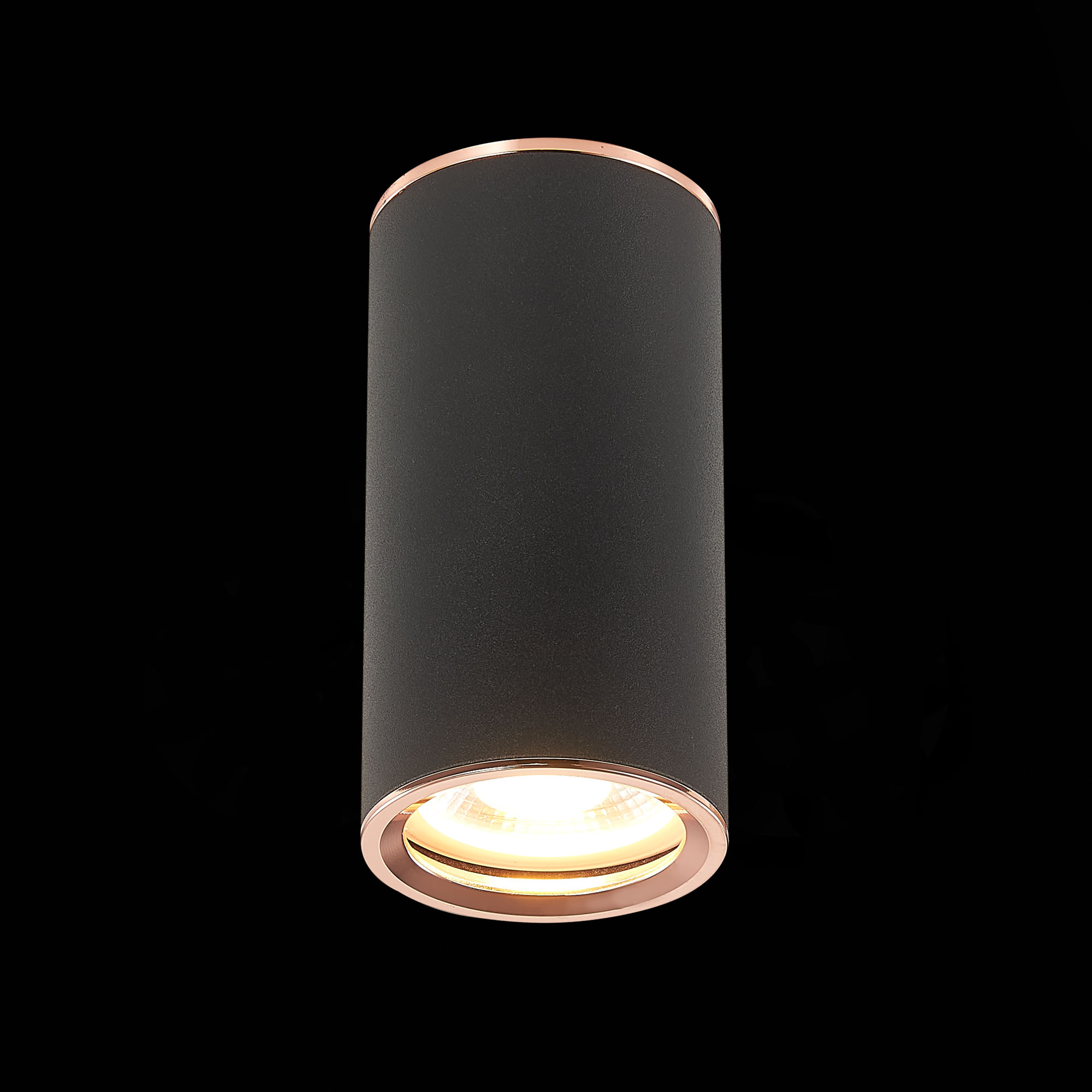 Картинка Потолочный светильник ST Luce Chomus ST111.427.01