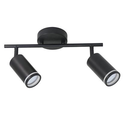Потолочный светильник Arte Lamp IMAI A2365PL-2BK