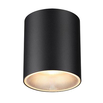 7138/12CL Odeon Light  Потолочный светильник BRIM купить в Алматы svet.kz