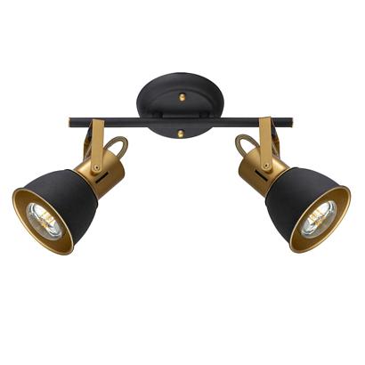 Потолочный светильник Arte Lamp JOVI A1677PL-2GO